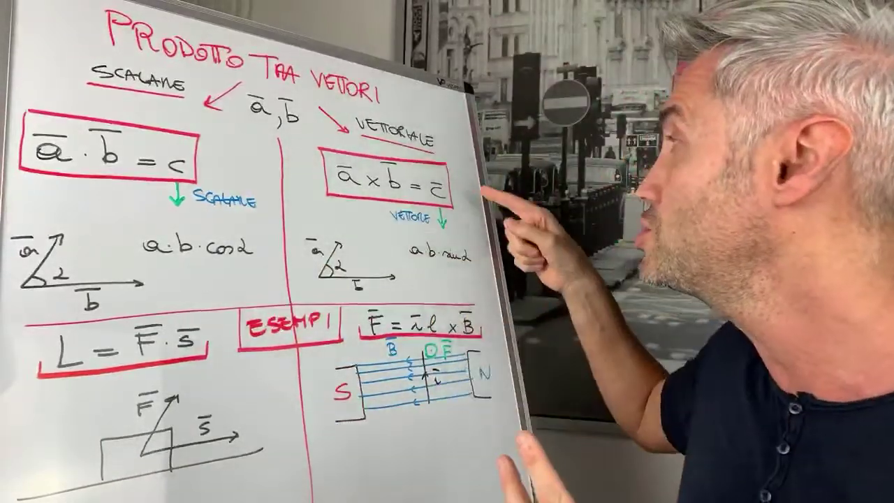 La Fisica Che Ci Piace Vettori
