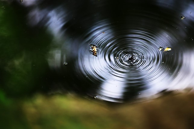 Immagine2