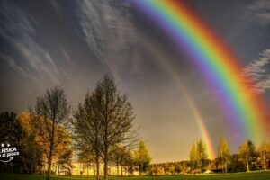 Come si forma l'arcobaleno: riflessione, rifrazione e dispersione
