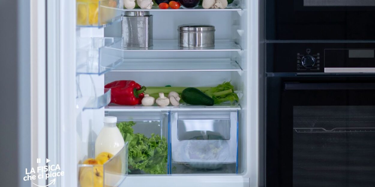 Scongelare gli alimenti: è questo il metodo corretto secondo la scienza