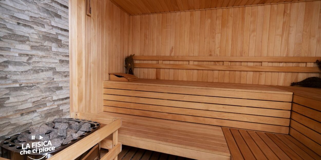 Una sauna potrebbe salvare le specie a rischio: l'idea bizzarra di un gruppo di scienziati australiani