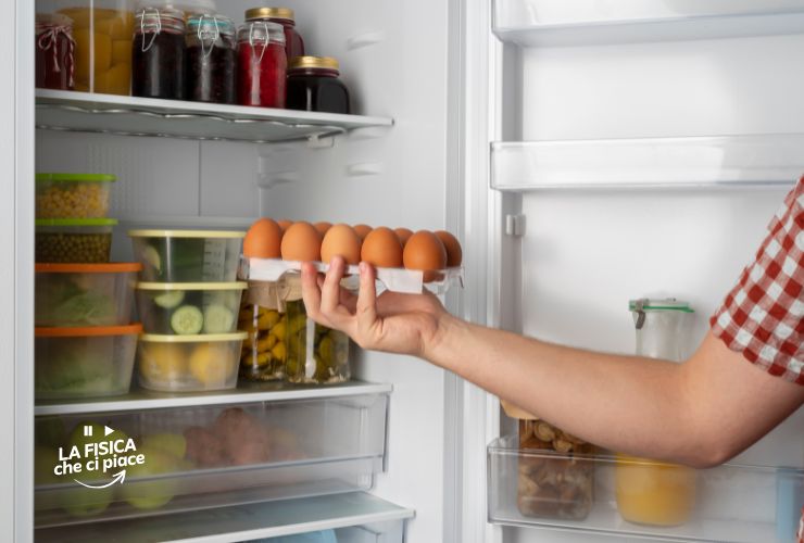 scongelare-alimenti-in-modo-corretto-cosa-dice-il-mondo-della-fisica