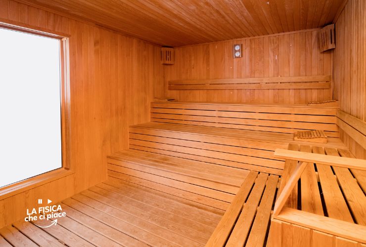 sauna-potrebbe-savare-specie-a-rischio