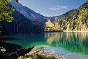 La riflessione della luce: principi e applicazioni