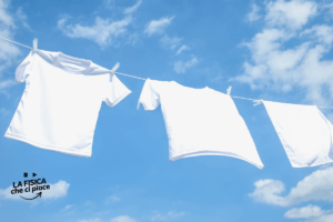 Per evitare questo fastidio basta sbattere i panni dopo averli lavati: non dovrai mai più stirare