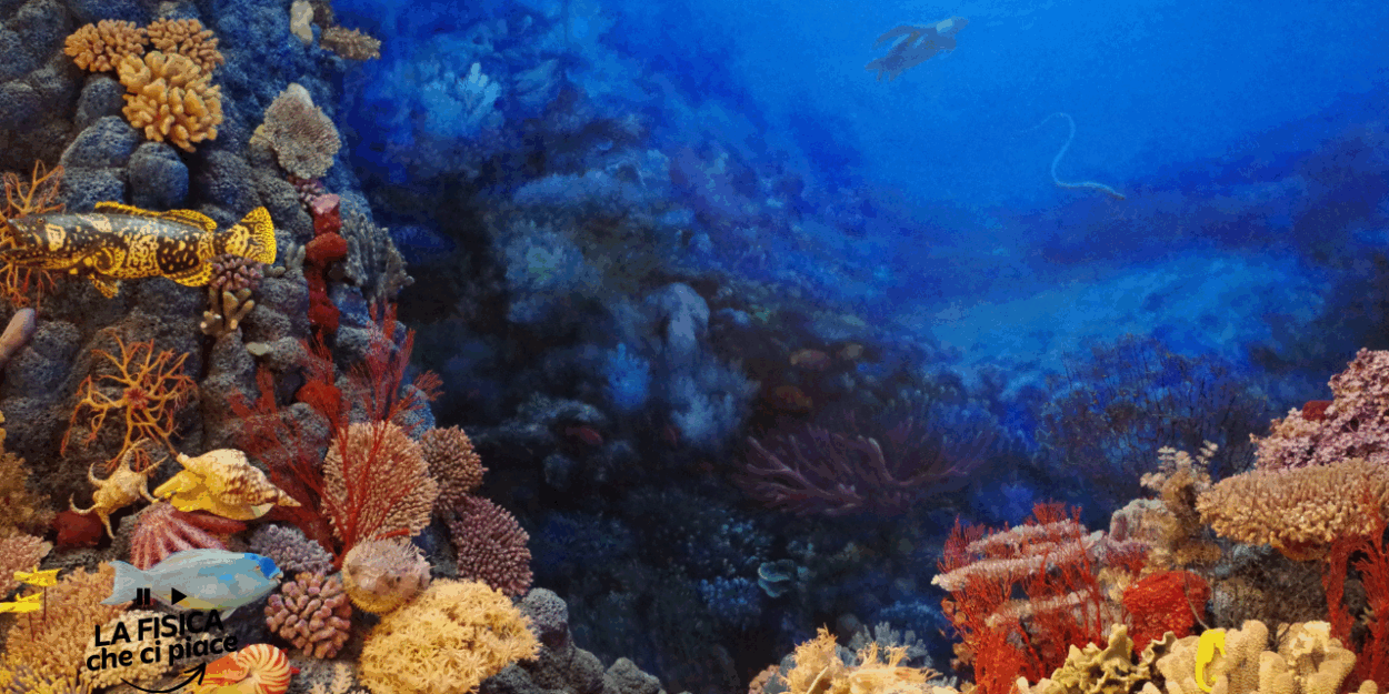 Vongole carnivore, crostacei pop-corn e una piccola zanna: sono alcune delle 14 specie scoperte nel luogo più inospitale della Terra