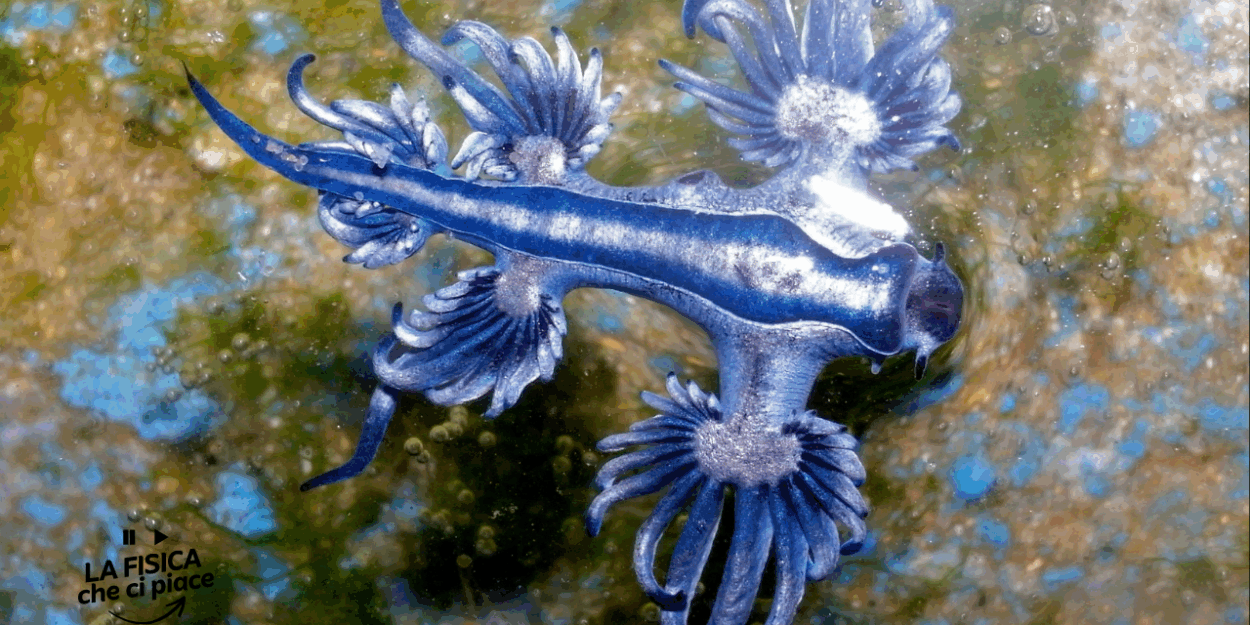 Un Drago marino scoperto in UK sta aiutando gli scienziati a risolvere un mistero vecchio di 184 milioni di anni