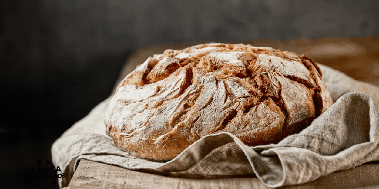 Compri il pane e diventa subito duro, ogni volta ti tocca buttarlo: fai così e ritornerà fragrante, mai più sprechi