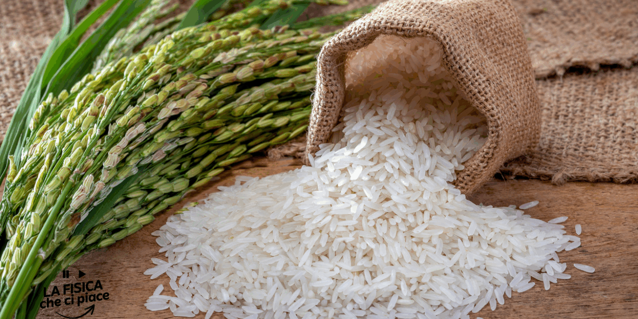 Riso, ti viene sempre colloso e scotto: cuocilo così per un risultato fragrante