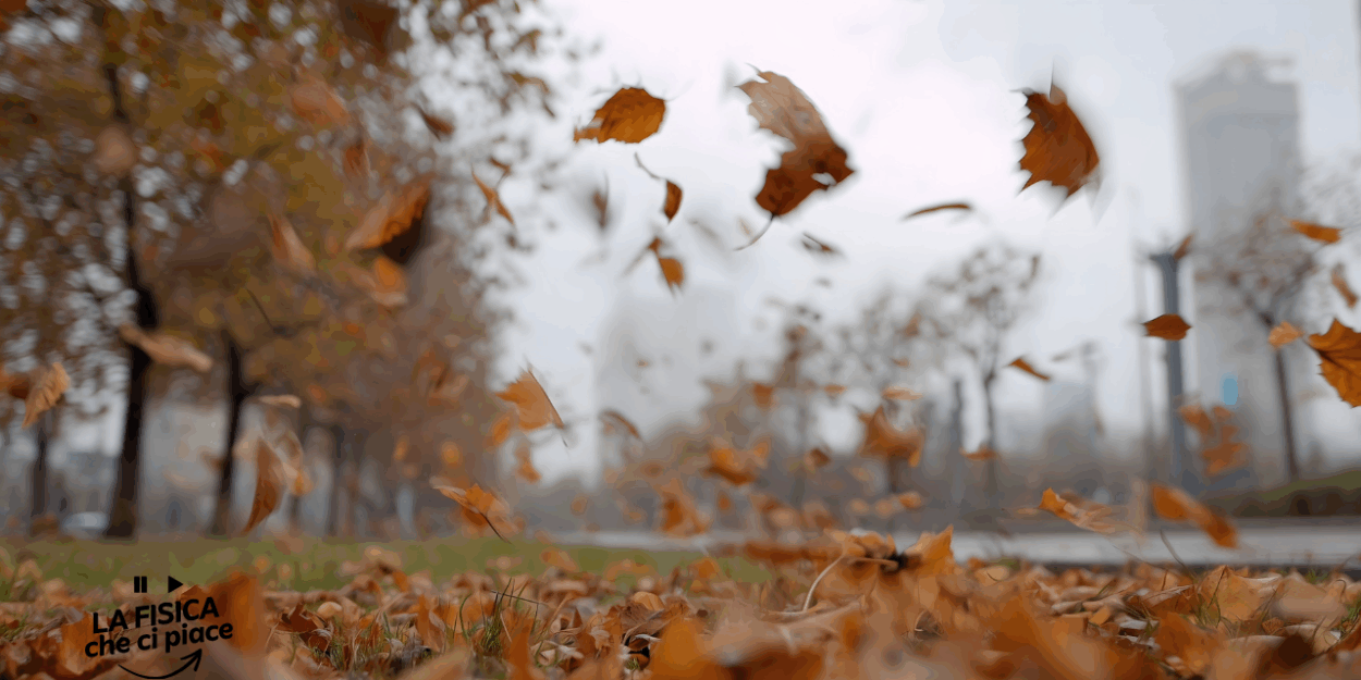 Non è stato il vento ma sono stati loro a portare la vita su quest'isola: nessuno se l'aspettava