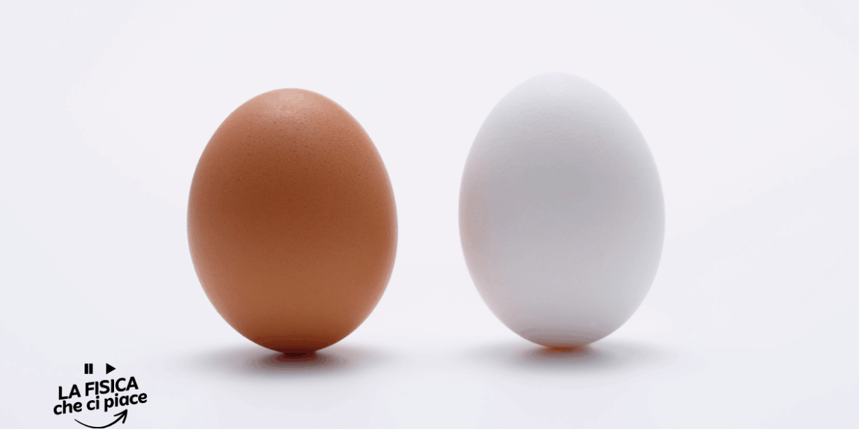 Mettere in equilibrio un uovo è possibile ma c'è bisogno di un accorgimento: l'esperimento da fare con i bambini