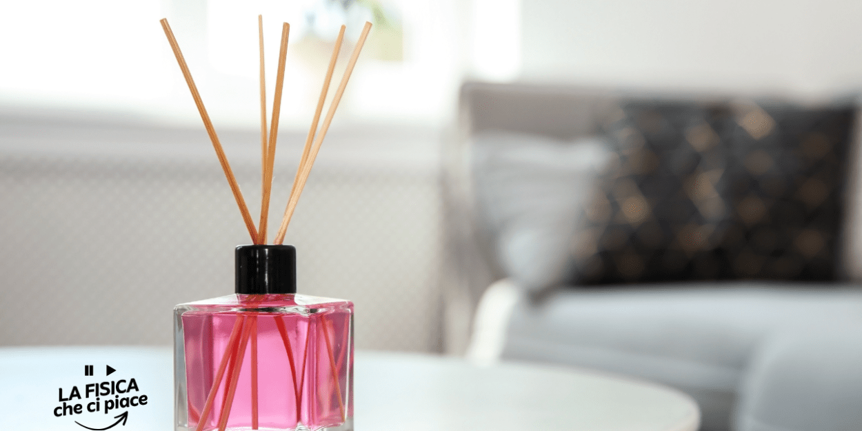 Compri l'ennesimo profumo per ambienti ma dopo poco non senti più la fragranza, capita a tutti: tutta colpa di questo meccanismo