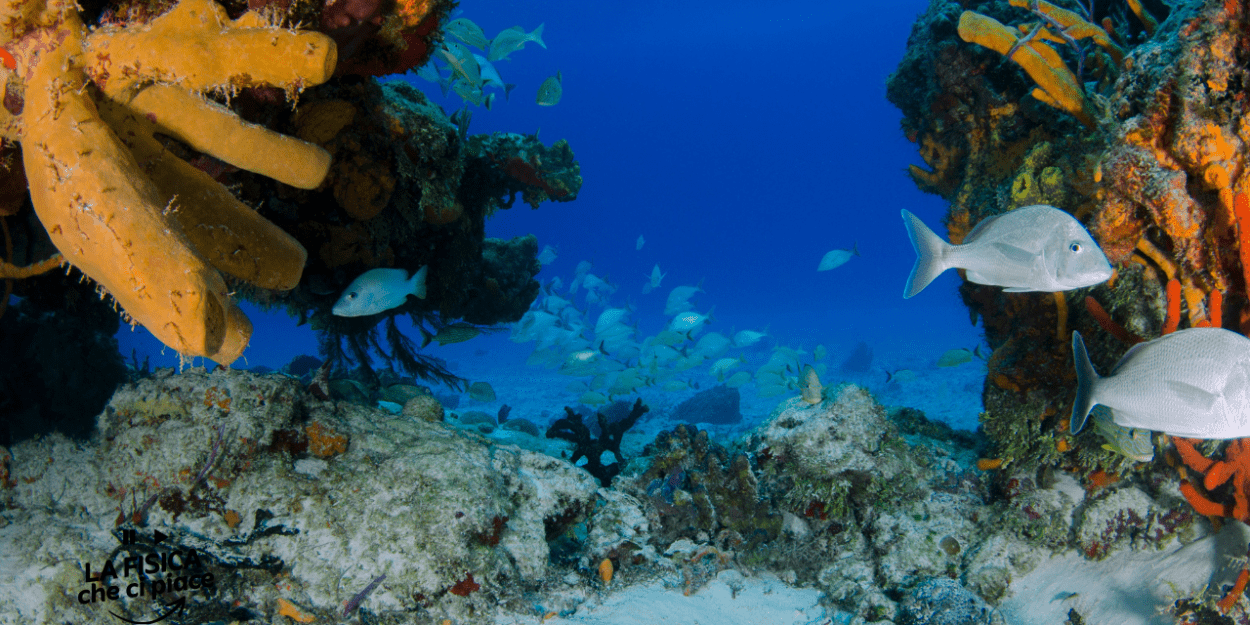 Gli scienziati hanno scoperto un oceano nascosto, è un'oasi per la vita: tutto grazie a un fenomeno unico