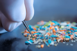 Le hanno trovate dove nessuno se le aspettava: scoperta preoccupante all'interno di persone vive