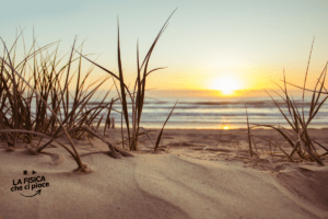 Metà delle spiagge del mondo potrebbe scomparire, l'allarme degli scienziati: un quinto è già in erosione grave