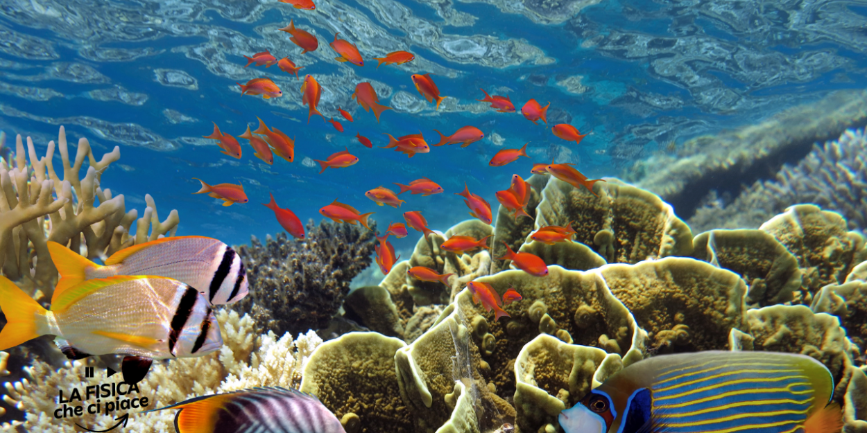 Osservati virus mai visti prima: li hanno trovati in questi animali amatissimi