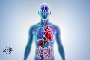 Un organo “insospettabile” potrebbe aver contribuito alla nascita dell’intelligenza umana